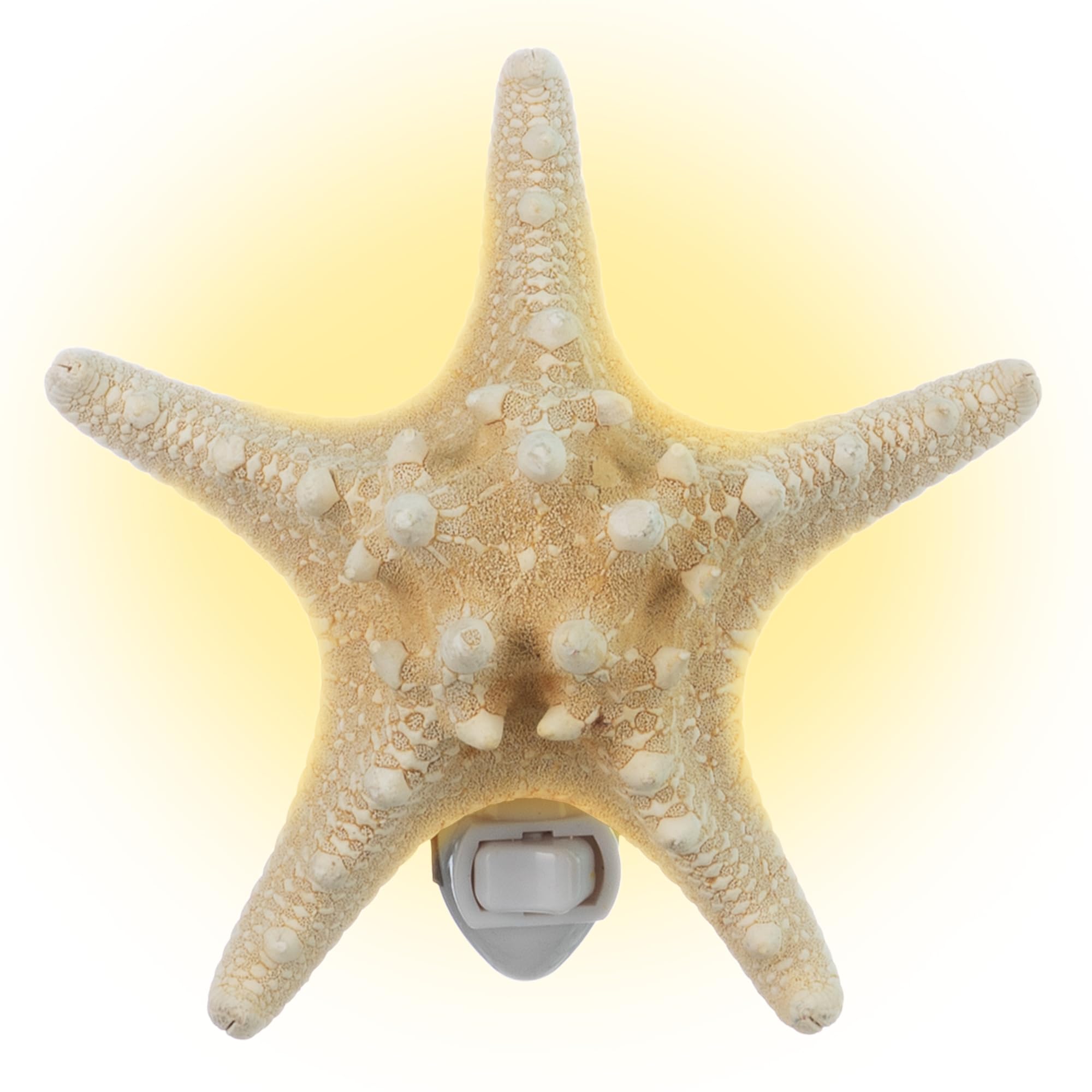 Nautical Crush Trading Real Starfish Night Light – Beach Night